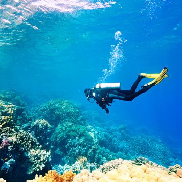 Exploring Adventurous Activities Near Cartagena: Skydiving, Diving, and More /  Explorando Actividades Aventureras Cerca de Cartagena: Paracaidismo, Buceo y Más