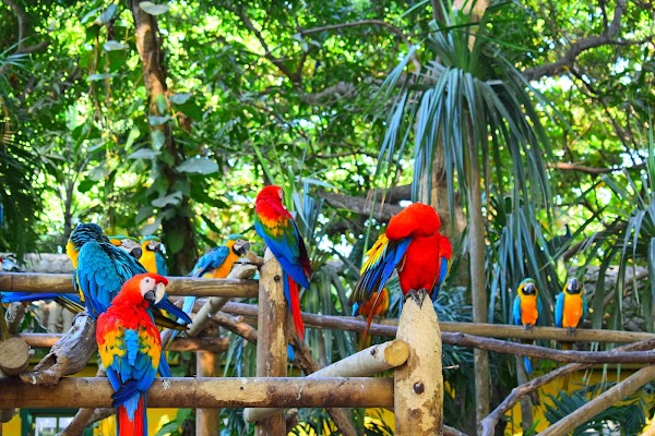 Park Cartagena