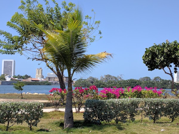 Parque triangular de Manga
