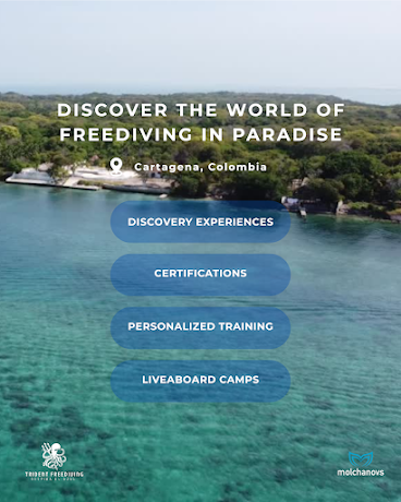 Trident Freediving · Cartagena de Indias