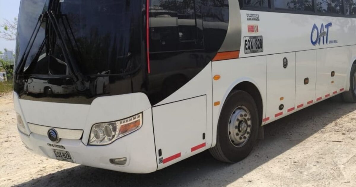 Party Bus Cartagena