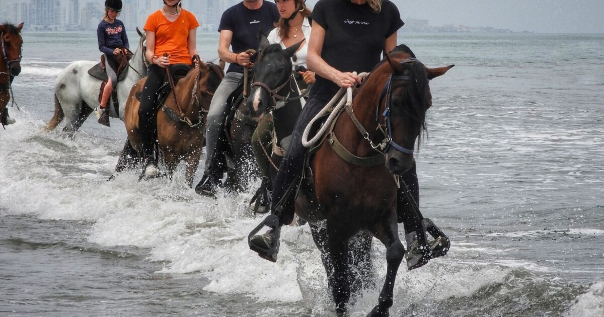Fahrt nach Caballo in Cartagena Beach: Entdecken Sie die Küstenschönheit und die kolumbianische Kultur