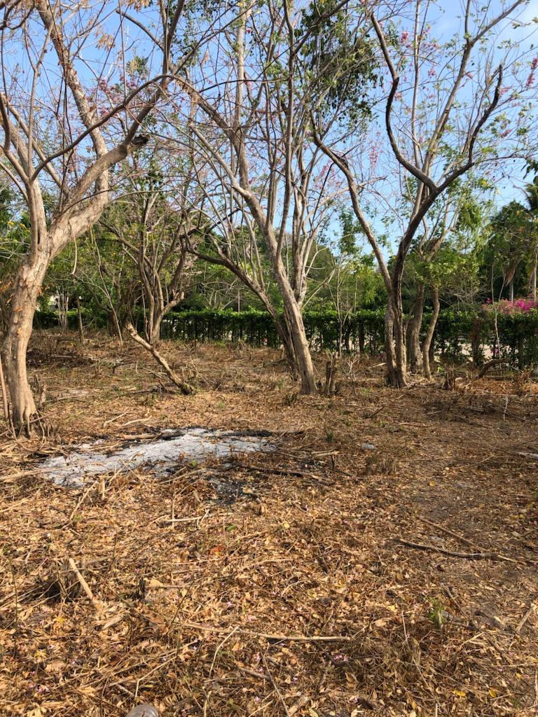 Lote en Venta en Barú, Cartagena de Indias – Frente al Mar Caribe / Beachfront Land for Sale – Barú, Cartagena de Indias, Colombia