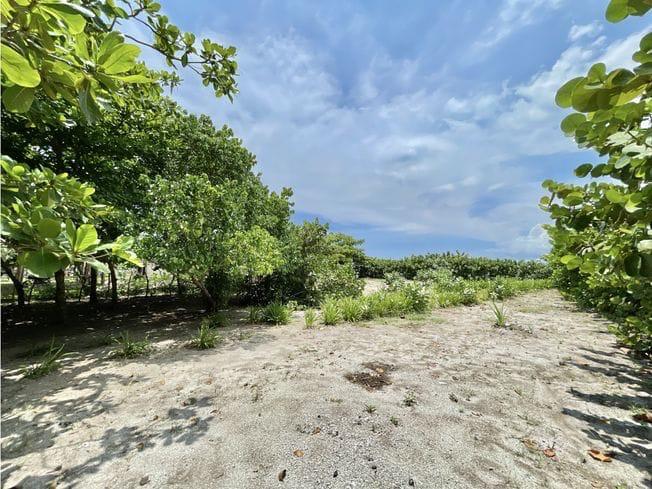 Lote en Venta Frente al Mar – Isla de Tierrabomba, Cartagena / Oceanfront Lot for Sale – Tierrabomba Island, Cartagena